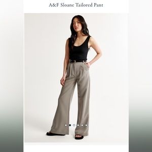 Abercrombie Sloane tailored pants (curve love)